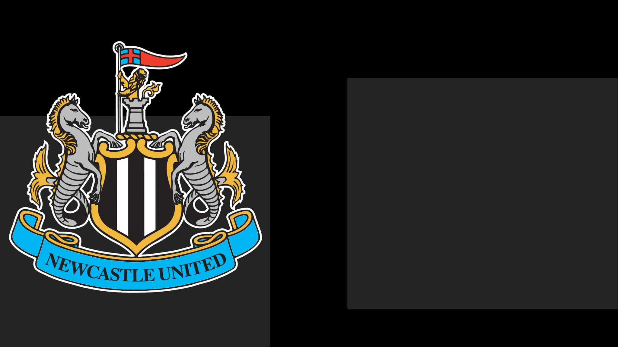 Newcastle's boss Commends Team's Determination – Yet That Only Carries Them This Far